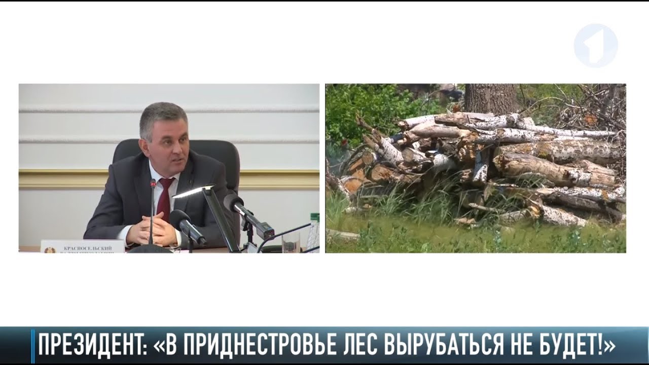 В. Красносельский: «Лес вырубать нельзя!»