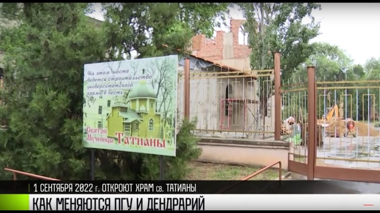 Спортплощадка для студентов и качели для Дендрария