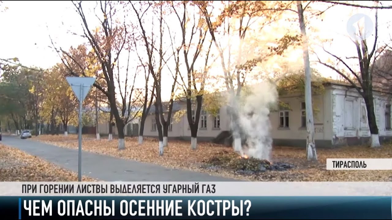 Листва: сжигать нельзя закапывать