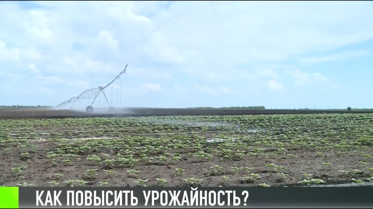 Битва за урожай: новые технологии