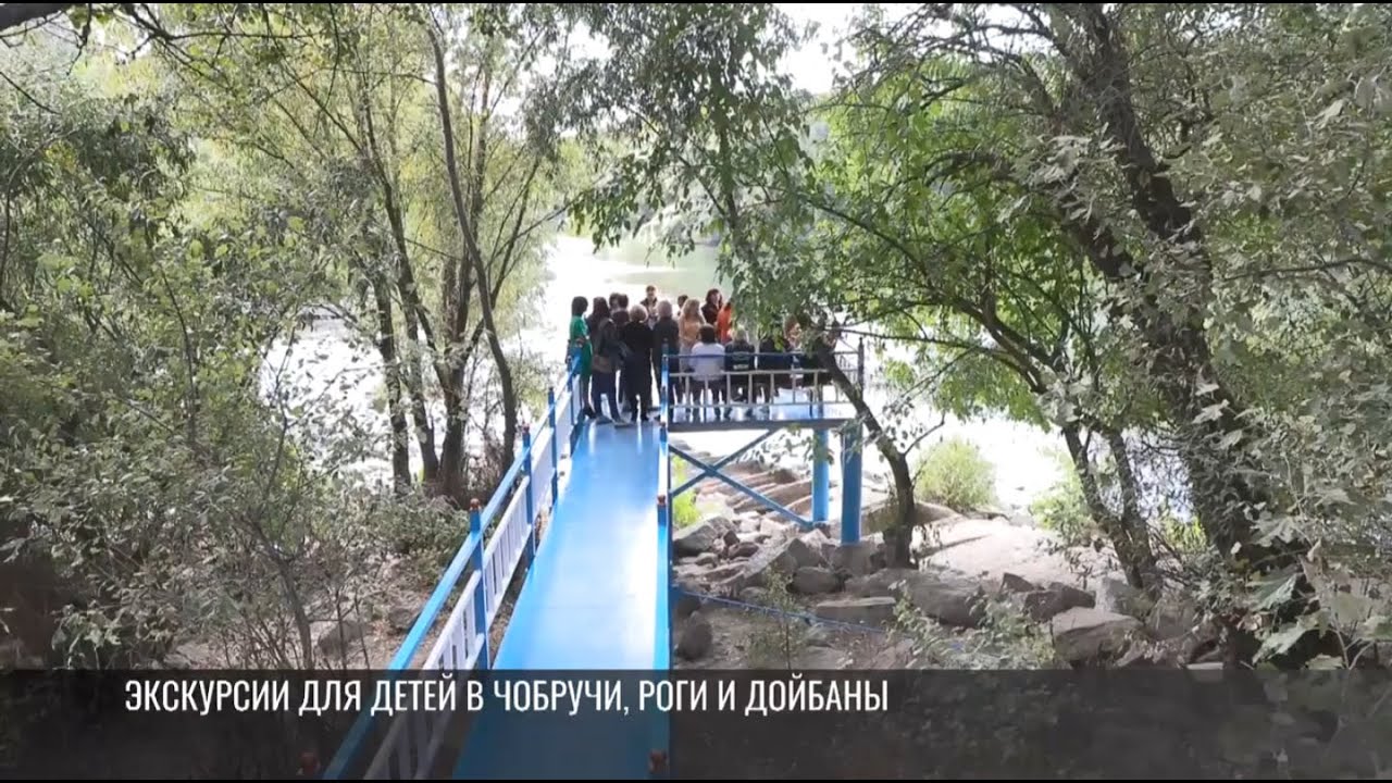 Водопад, пикники, зоопарк: походы и экскурсии для школьников