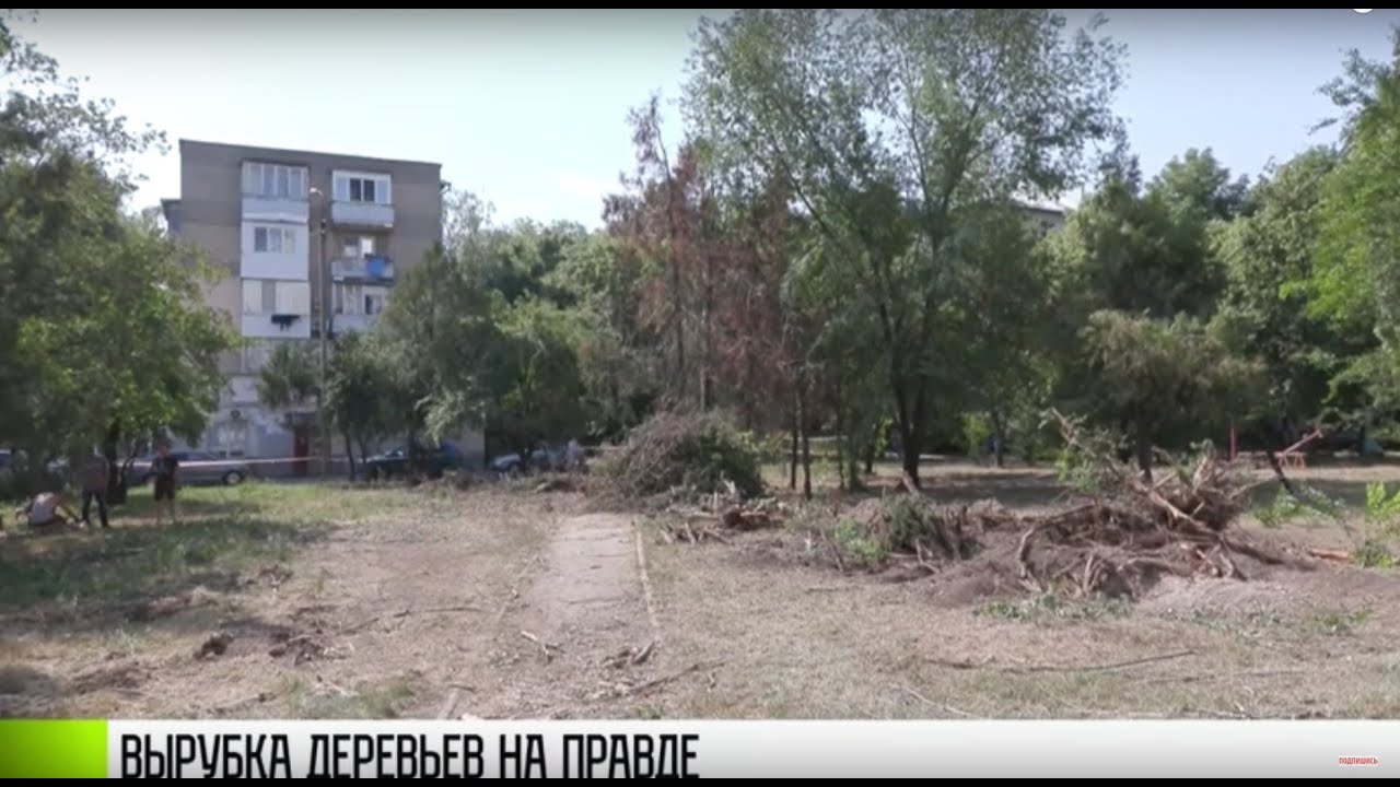 Сквер на Правде, деревья и недовольные жители