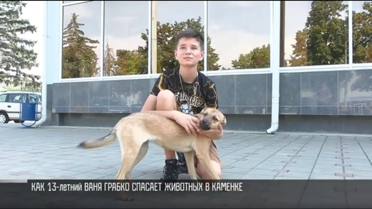 Как 13-летний Ваня Грабко спасает животных в Каменке