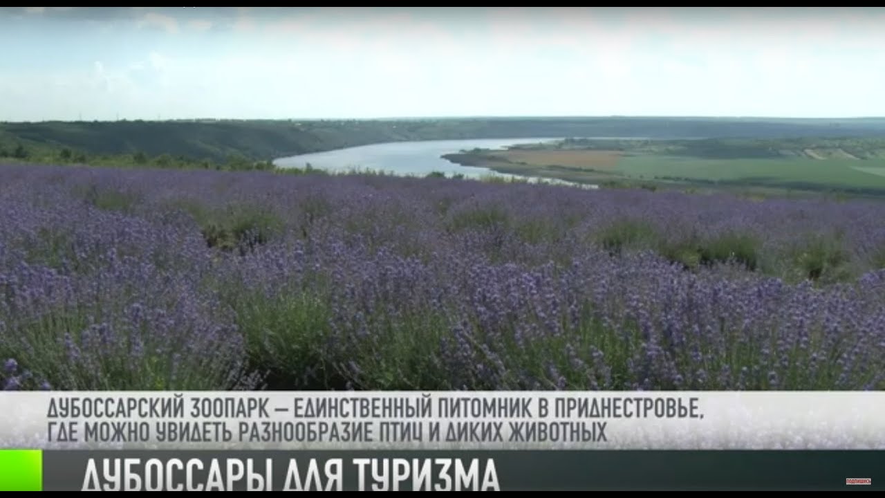 Что интересного посмотреть в Дубоссарах?