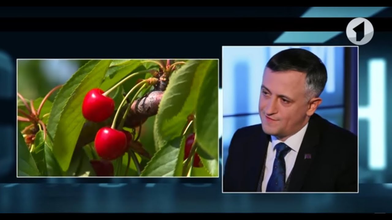 О бюджете, стране и семье - министр экономического развития Сергей Оболоник - 08/12/18