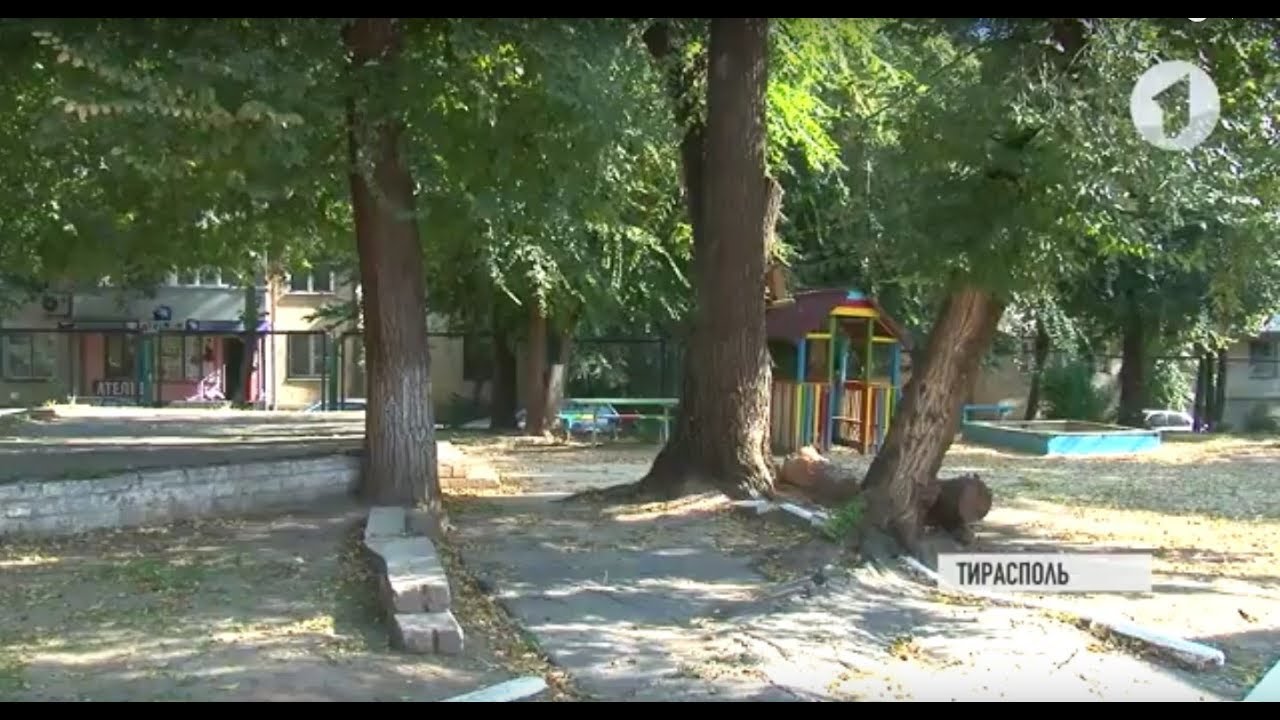 Дороги в садах и школах: как исправить ситуацию?