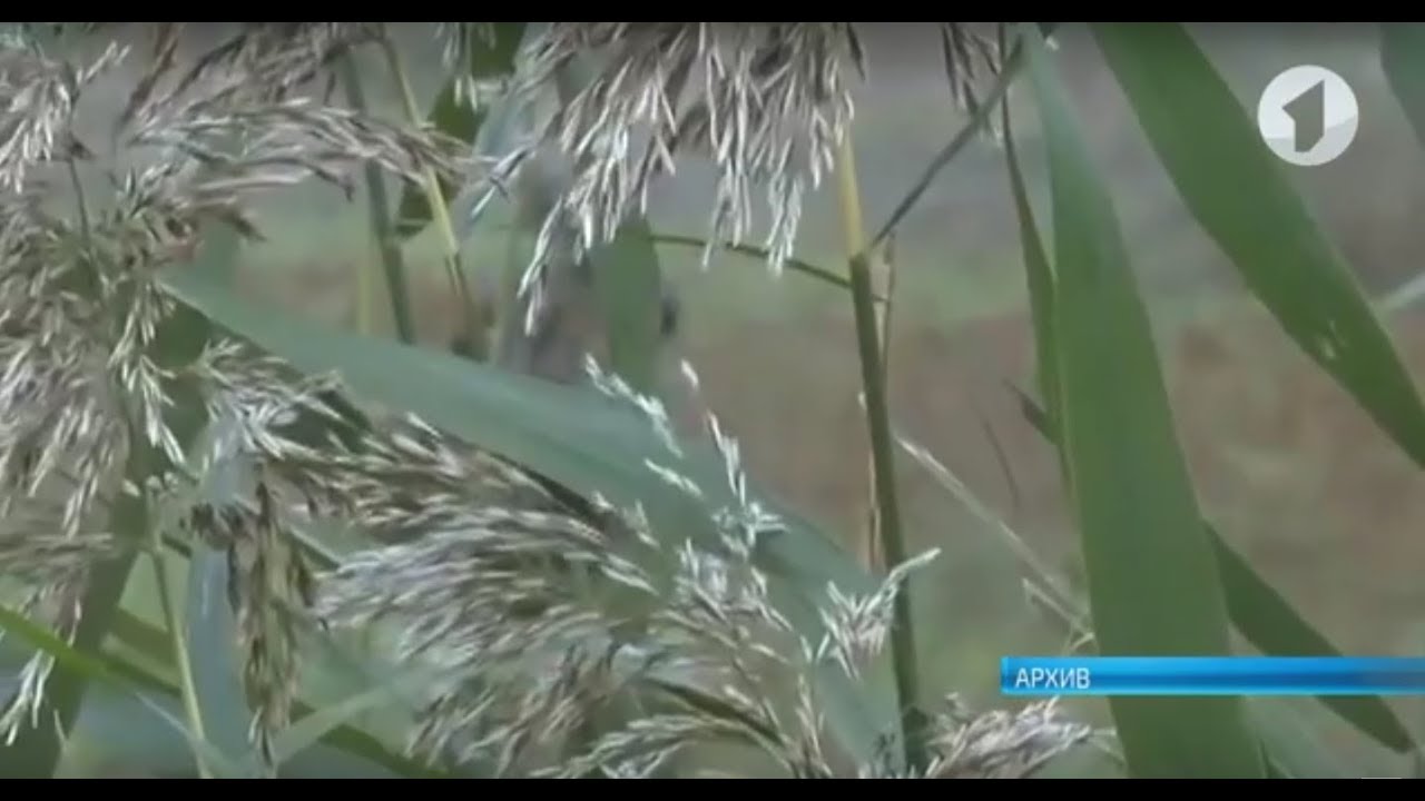 В республике стартовал сезон охоты на пернатых