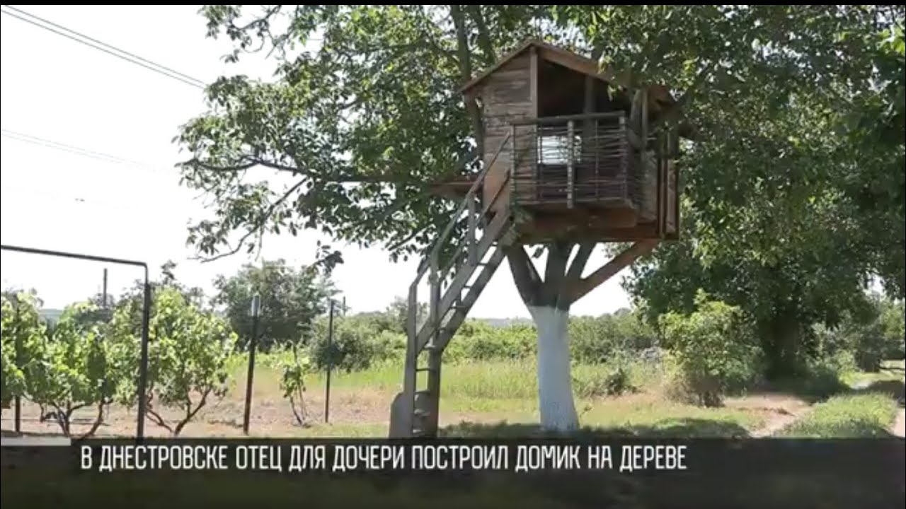 Домик на дереве и «ДедоЛэнд» в Днестровске