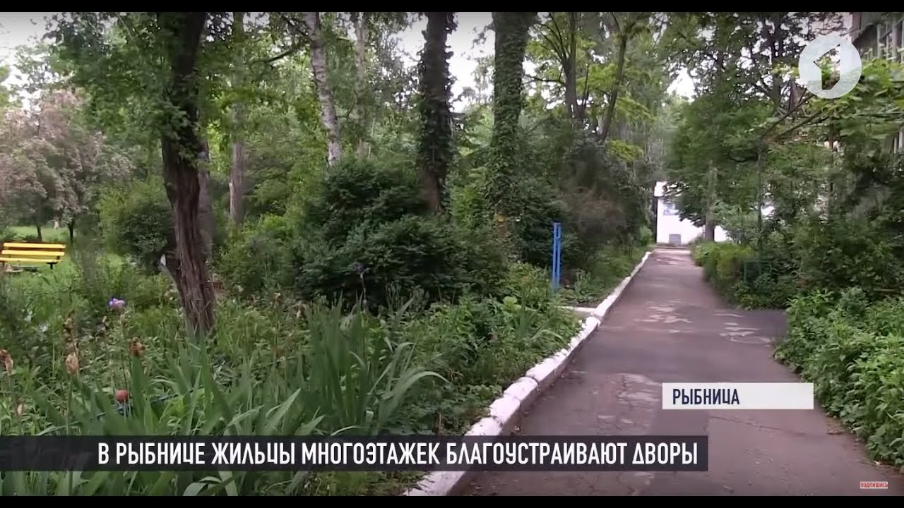 Удивительные дворы Рыбницы