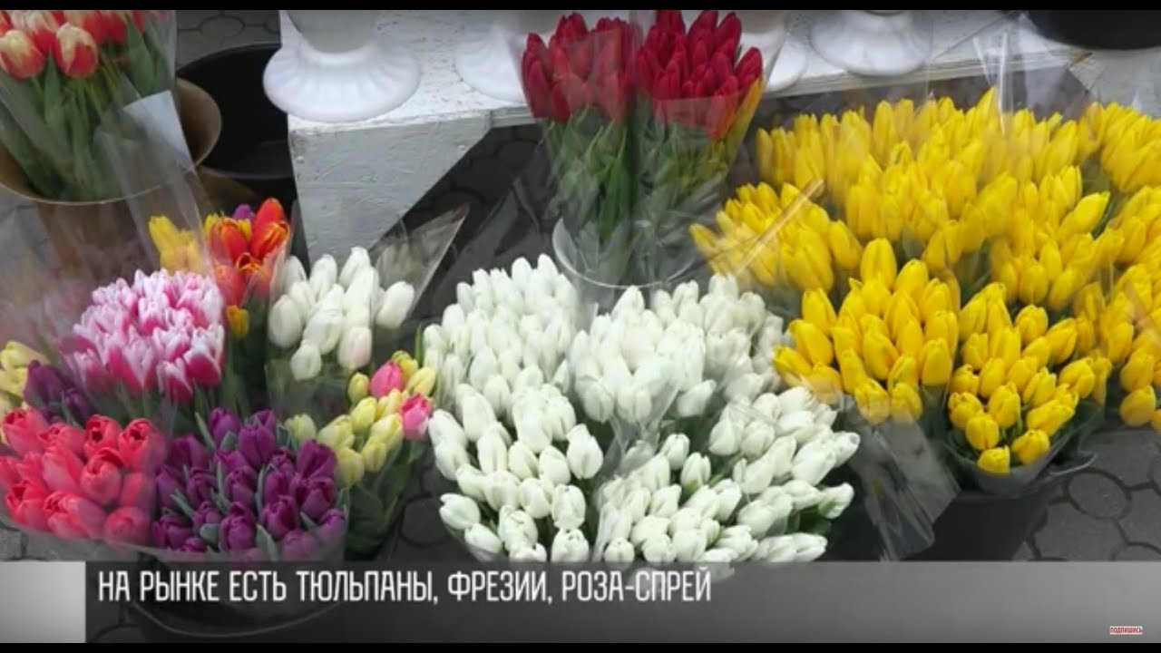 Тюльпаны, фрезии, роза-спрей: цветы и цены к 8 Марта