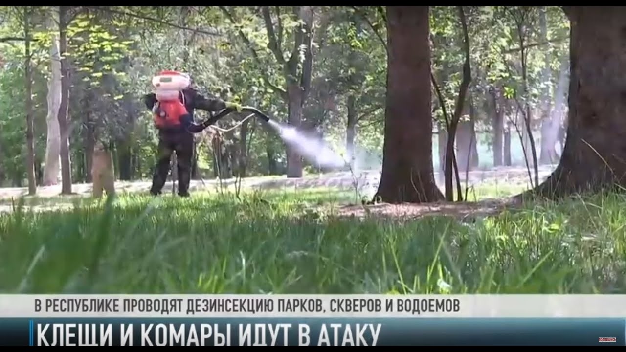 Клещи и комары идут в атаку