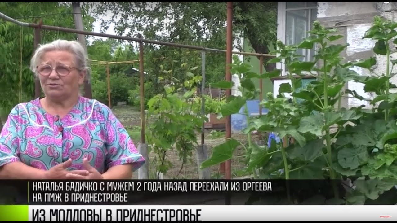 Из Молдовы – на ПМЖ в Приднестровье