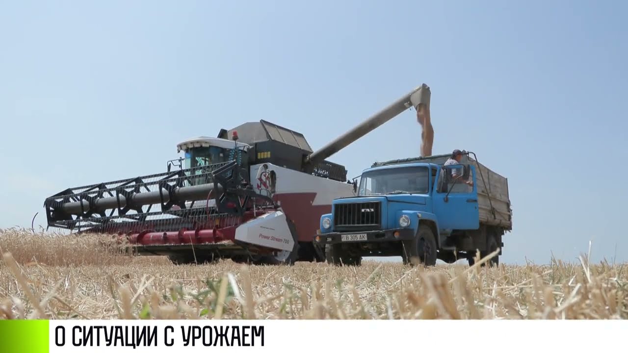 Урожай пшеницы: меньше, чем в прошлом году