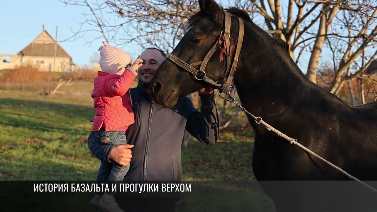 Дом-музей коневодства: от прогулок на лошадях до молдавских угощений