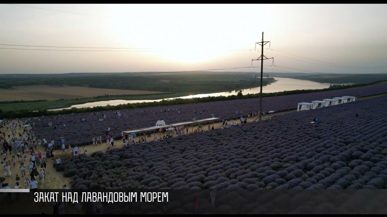Лавандовый праздник от рассвета до заката