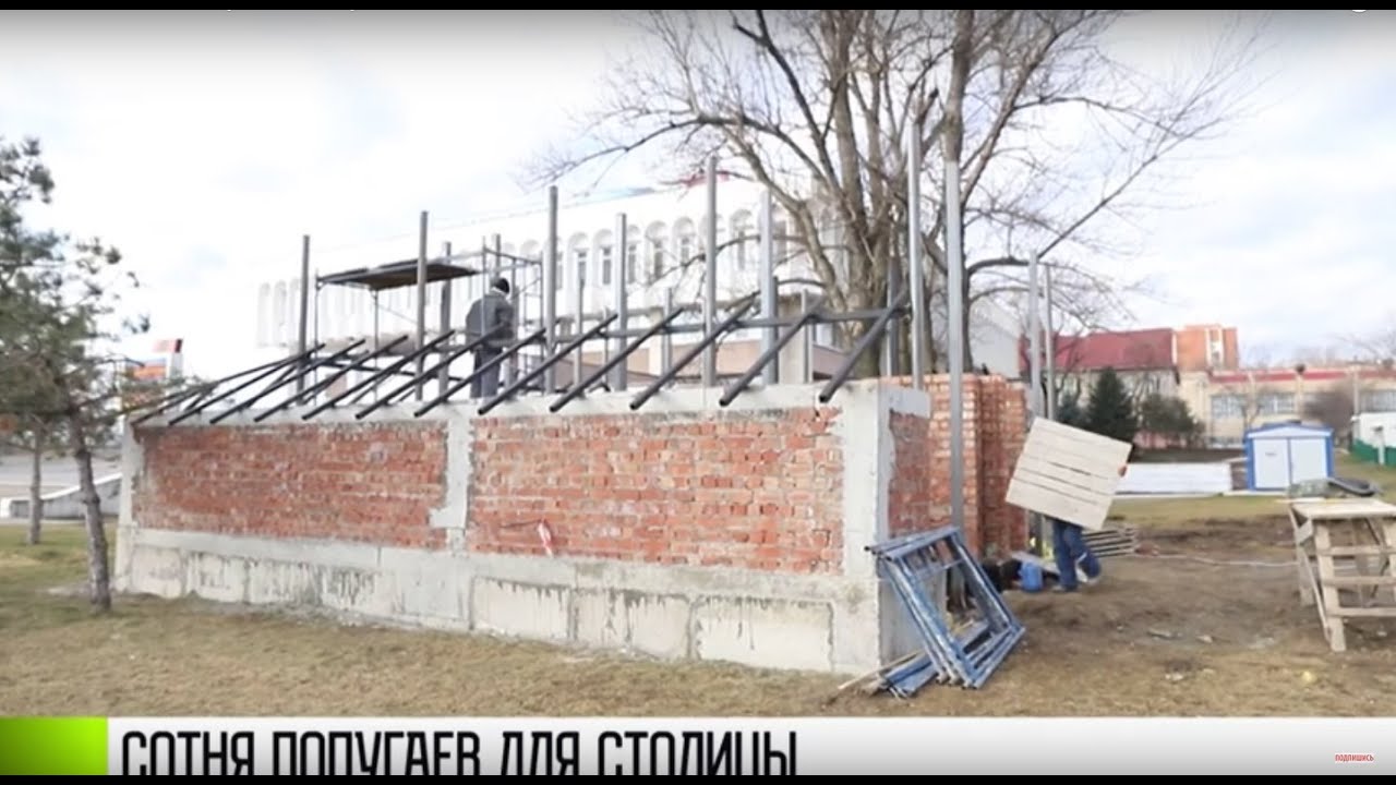 Сотня попугаев для Екатерининского парка