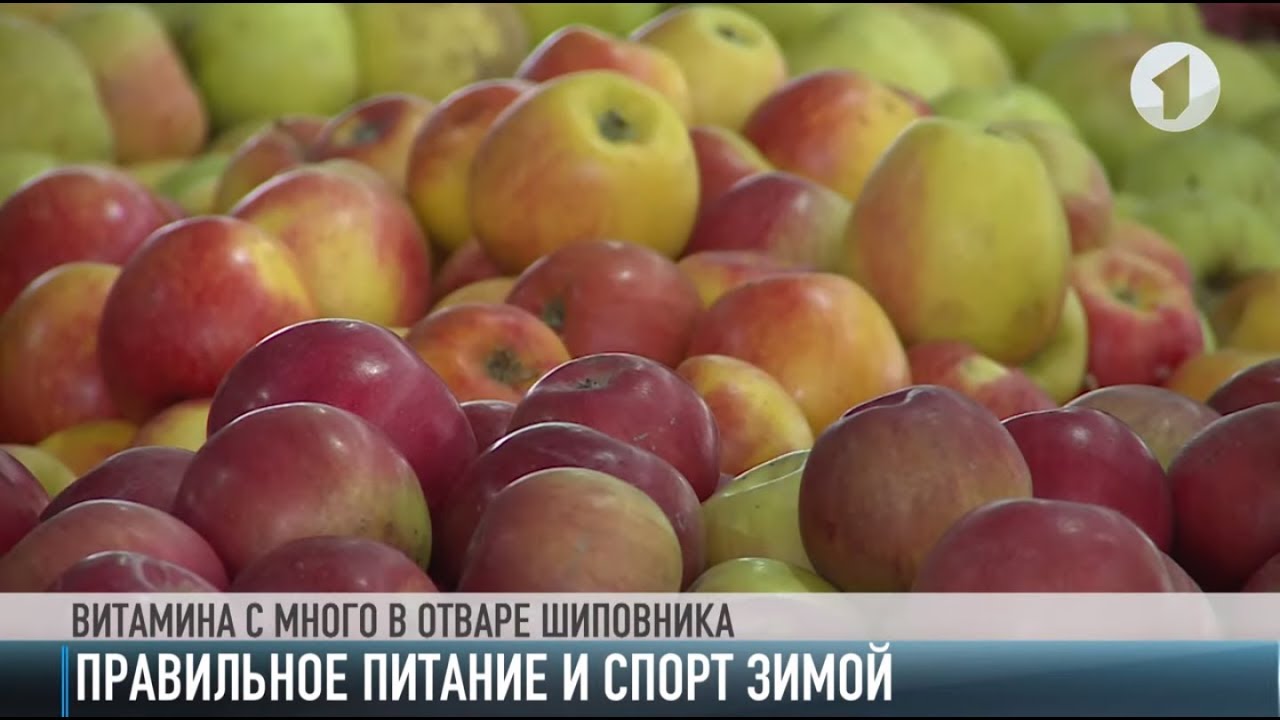 Зимний ЗОЖ. Советы специалистов