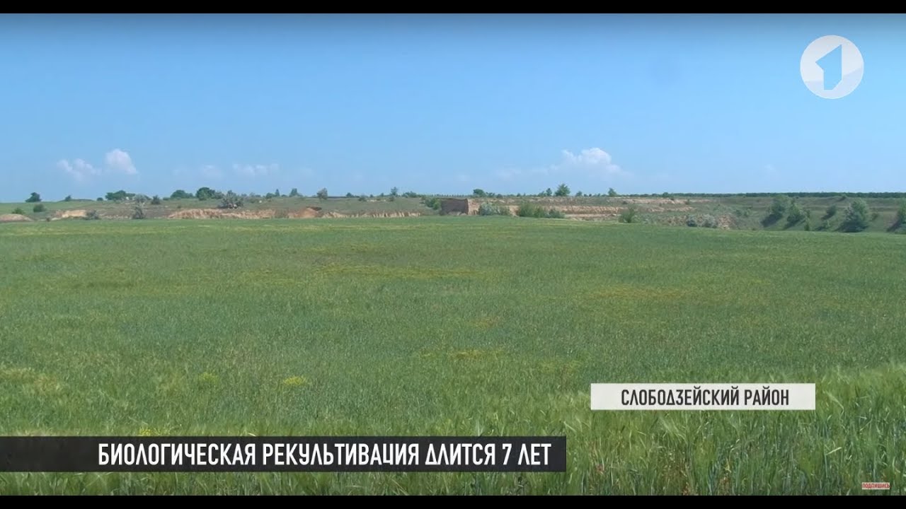 Как восстановить плодородие земли?