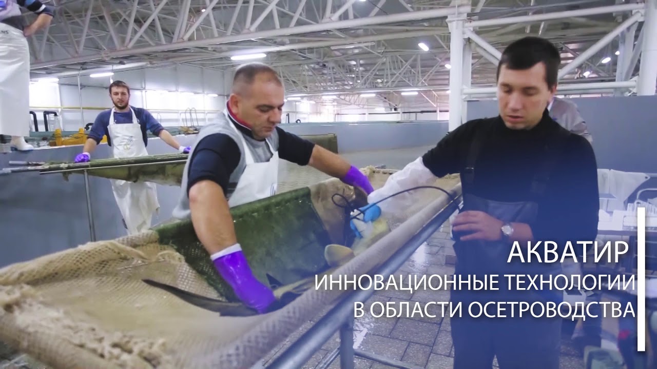 Мое Приднестровье