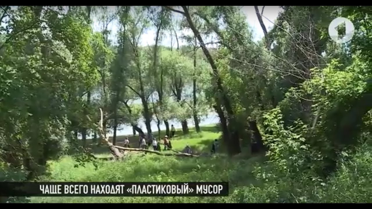 Приднестровье «экологичное»: когда станет чище?