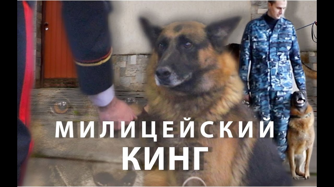 Милицейский Кинг