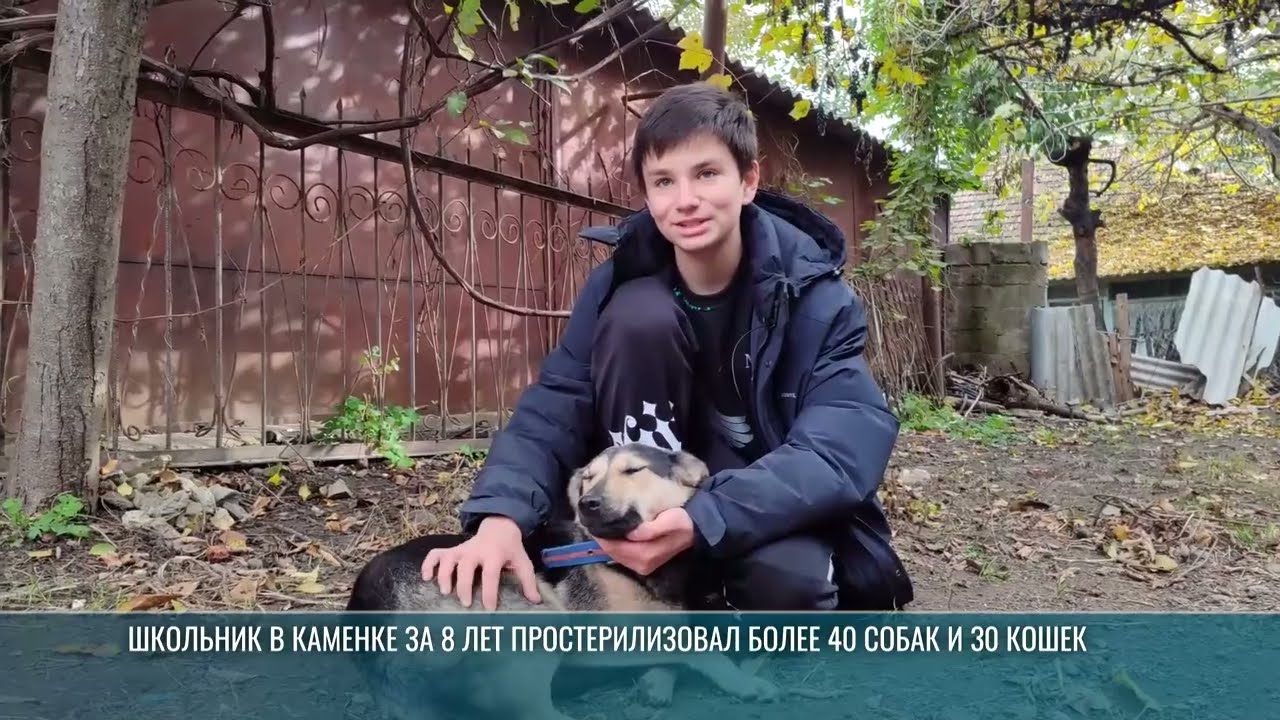 Школьник из Каменки показал, как решать проблему бездомных животных