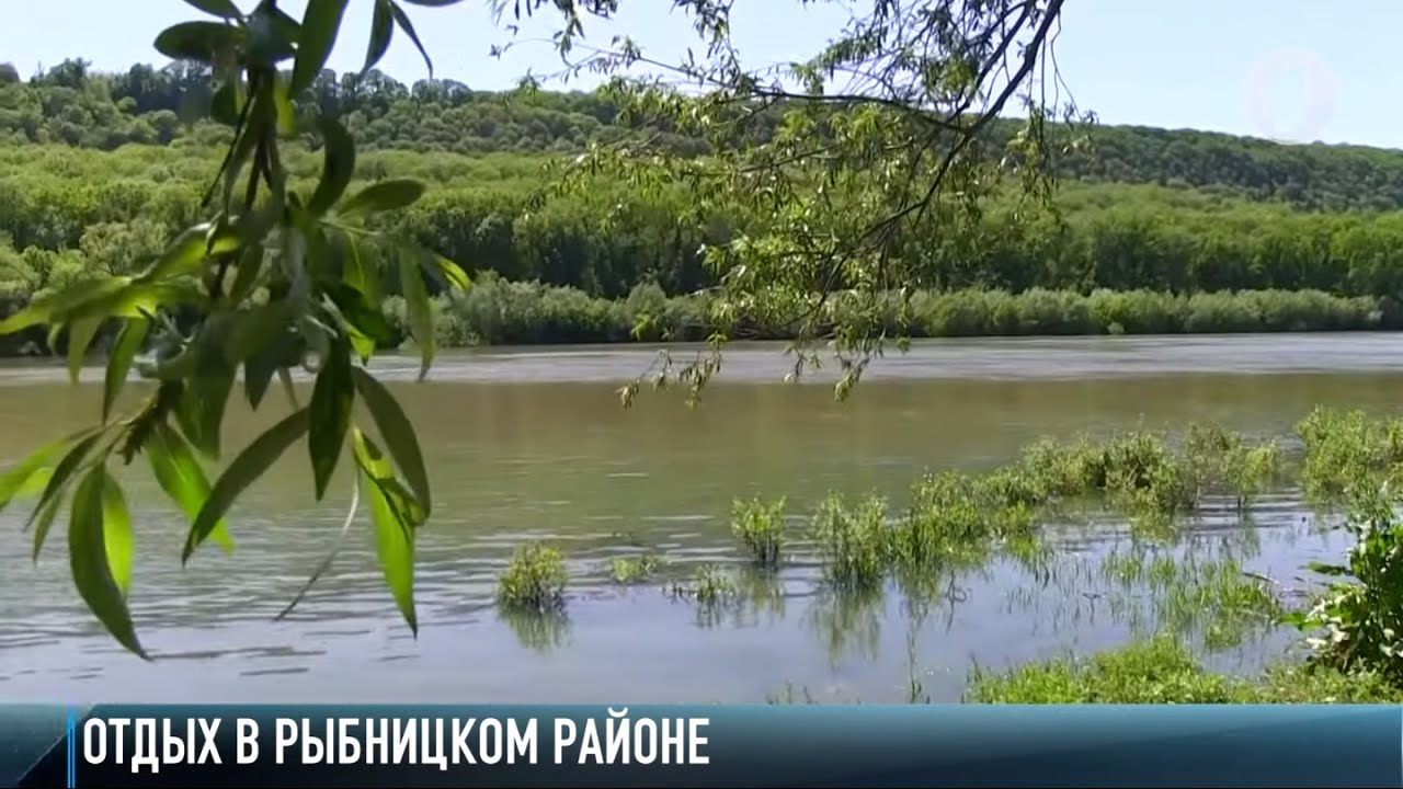 Отдых на карантине: лесные Строенцы