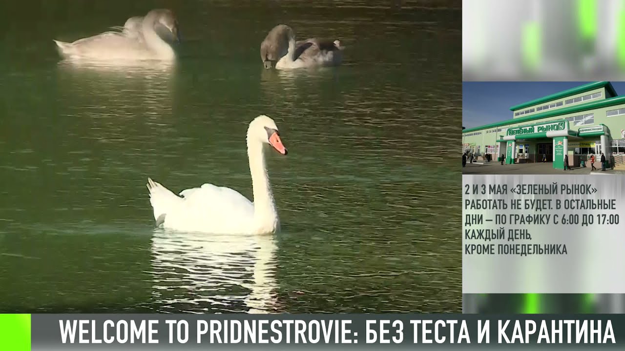 Welcome to Pridnestrovie: без теста и карантина