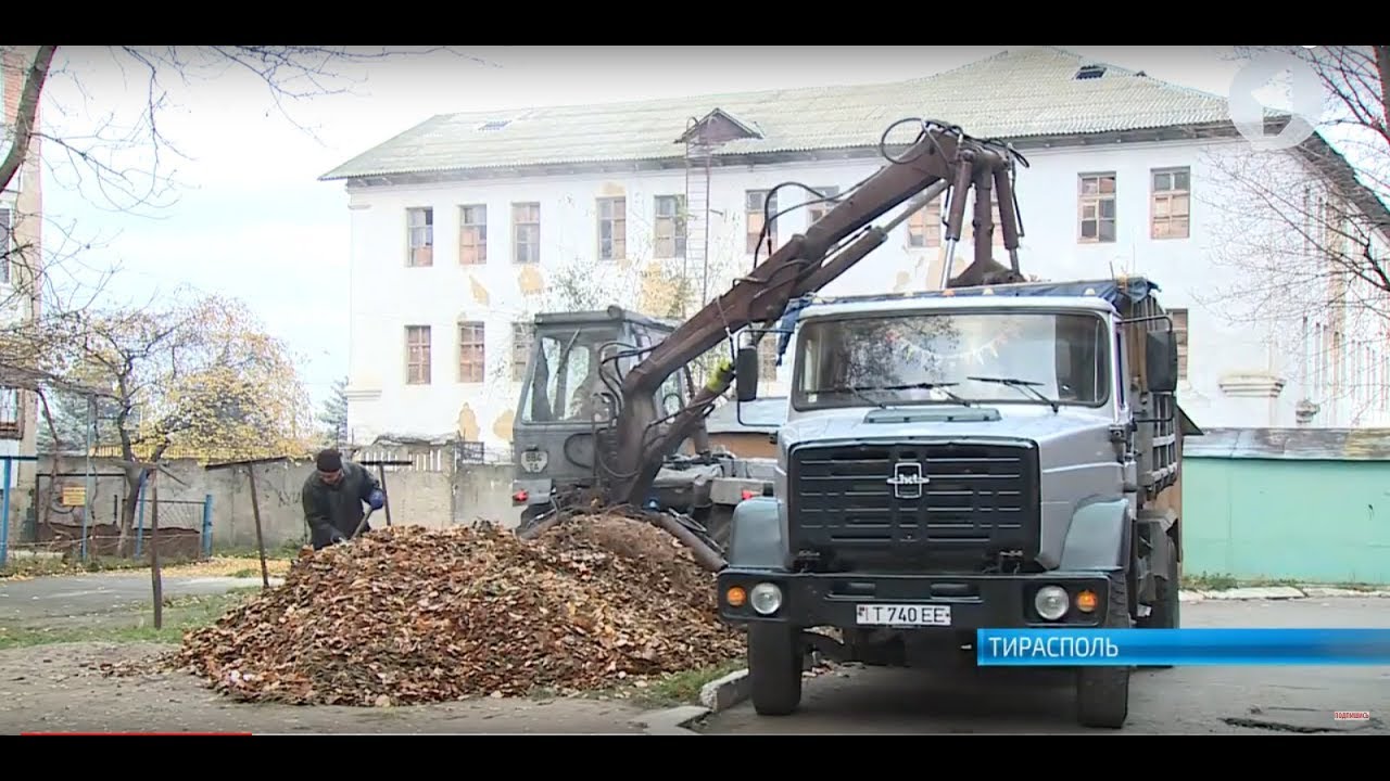 Мусор не по правилам. В столице растет число нелегальных свалок