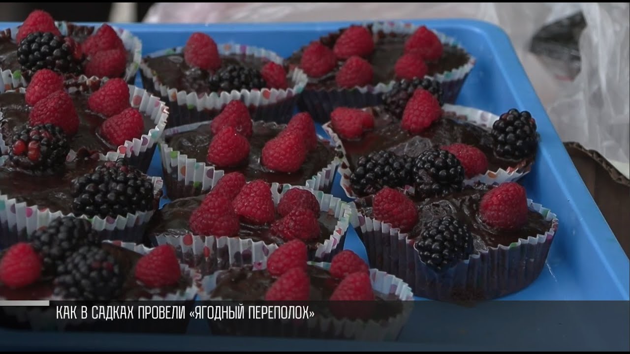 «Ягодный переполох» в Садках: дегустации и танцы