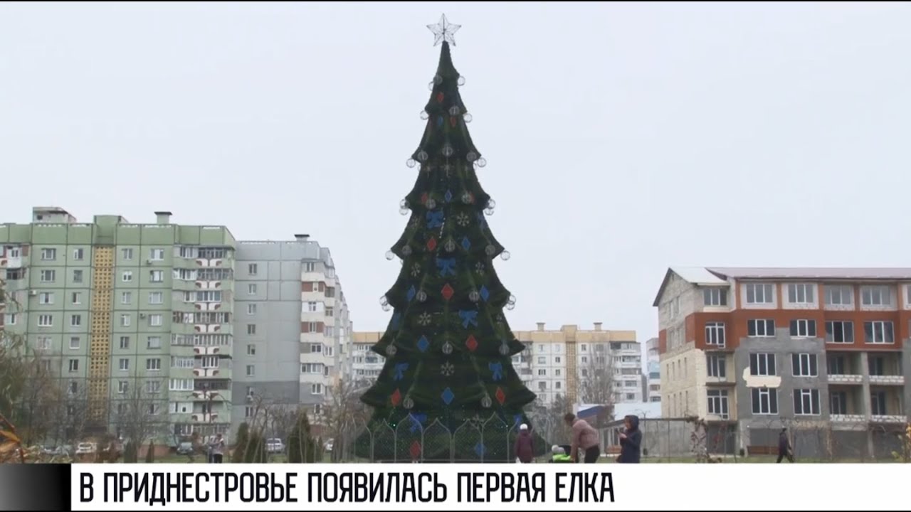 Первая новогодняя ёлка в Приднестровье