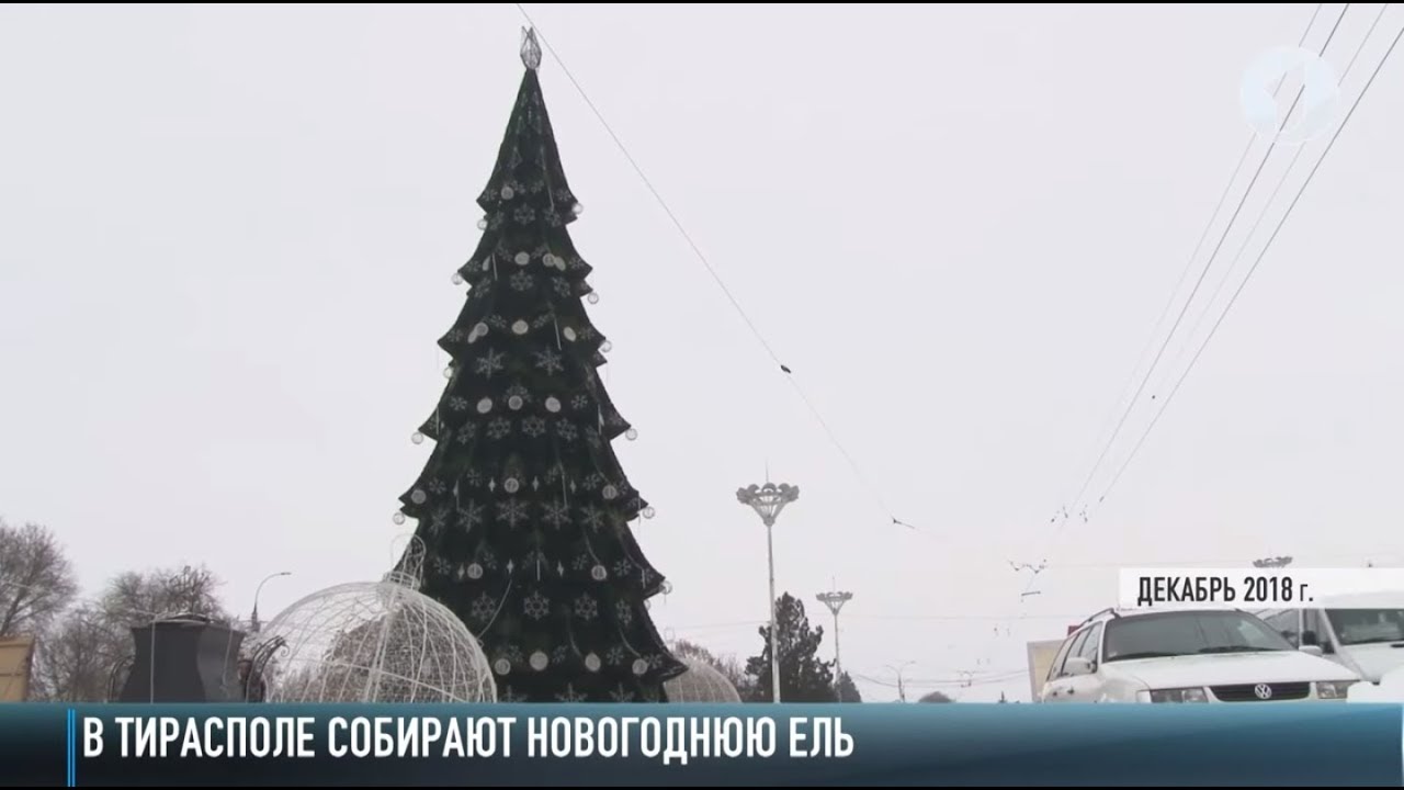 В Тирасполе начали устанавливать ёлку