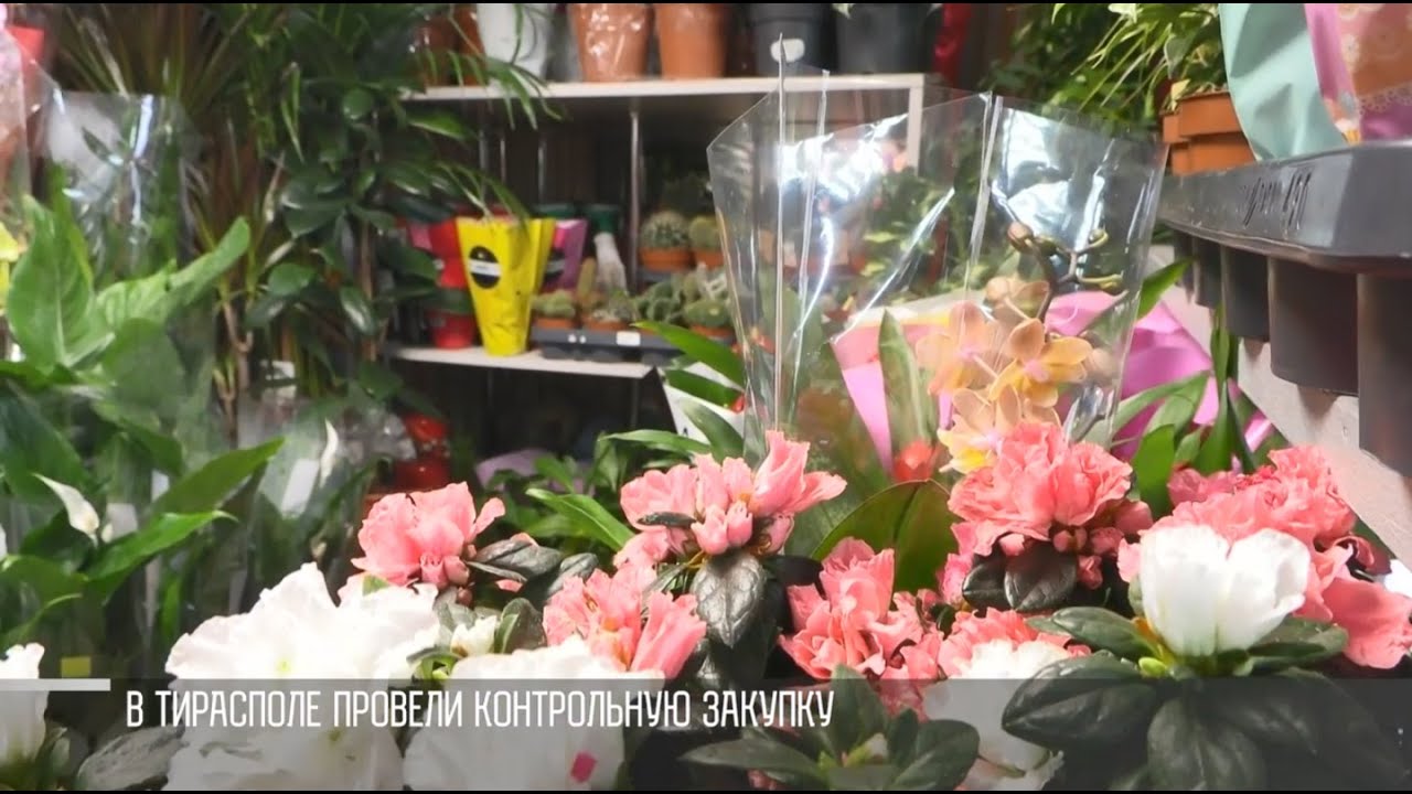 Чеки и молдавские пошлины. История одного цветочного магазина