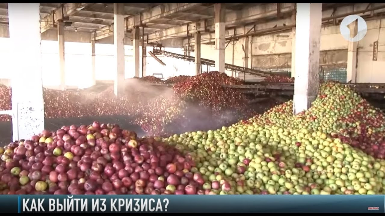 Как выйти из кризиса и получить прибыль?