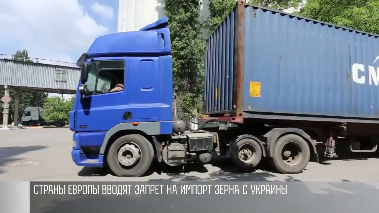 Зерновая лихорадка: Европа отказывается от импорта