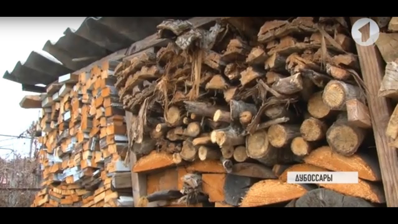 Дубоссары: дрова для нуждающихся