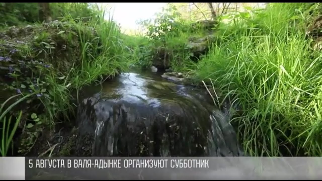Экотуризм в Валя-Адынке: «Золотой» ручей, уборка и дискотека