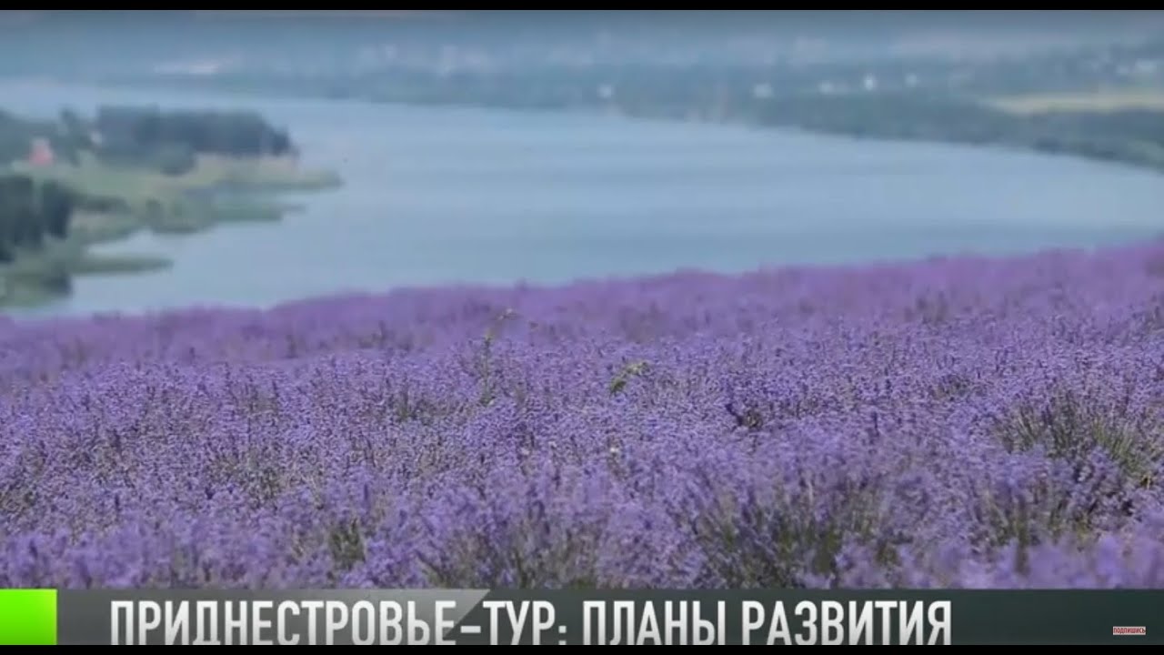 Приднестровье туристическое: планы развития