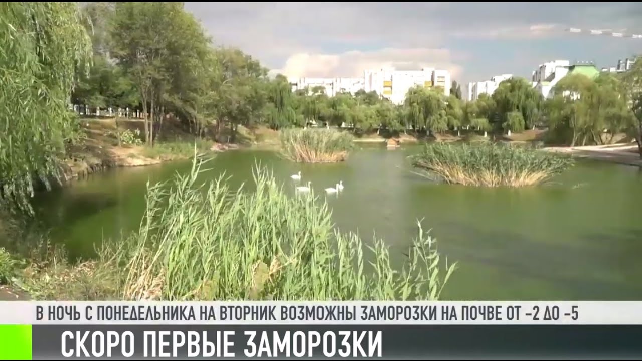 Когда первые заморозки?