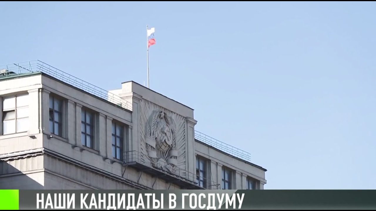 Факты о кандидатах в Госдуму России