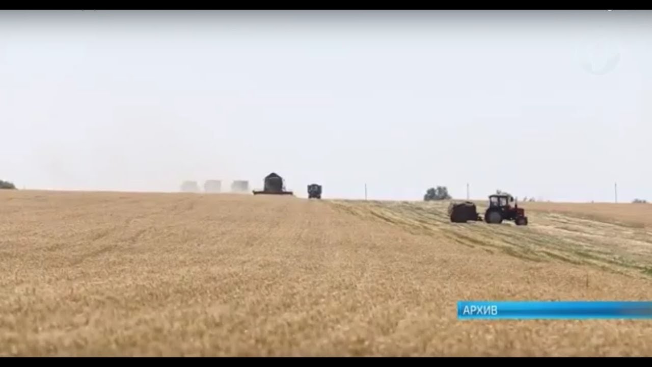 Больше кредитов для аграриев