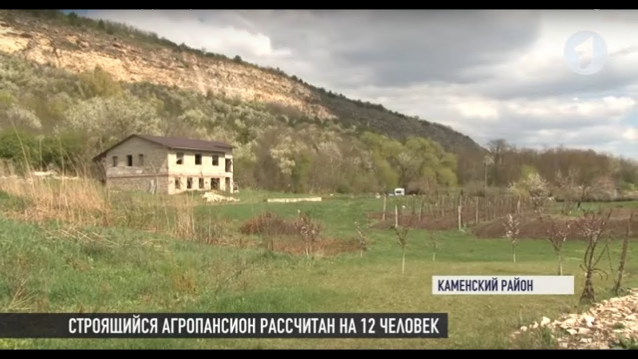 Маленькая Япония в Каменском районе