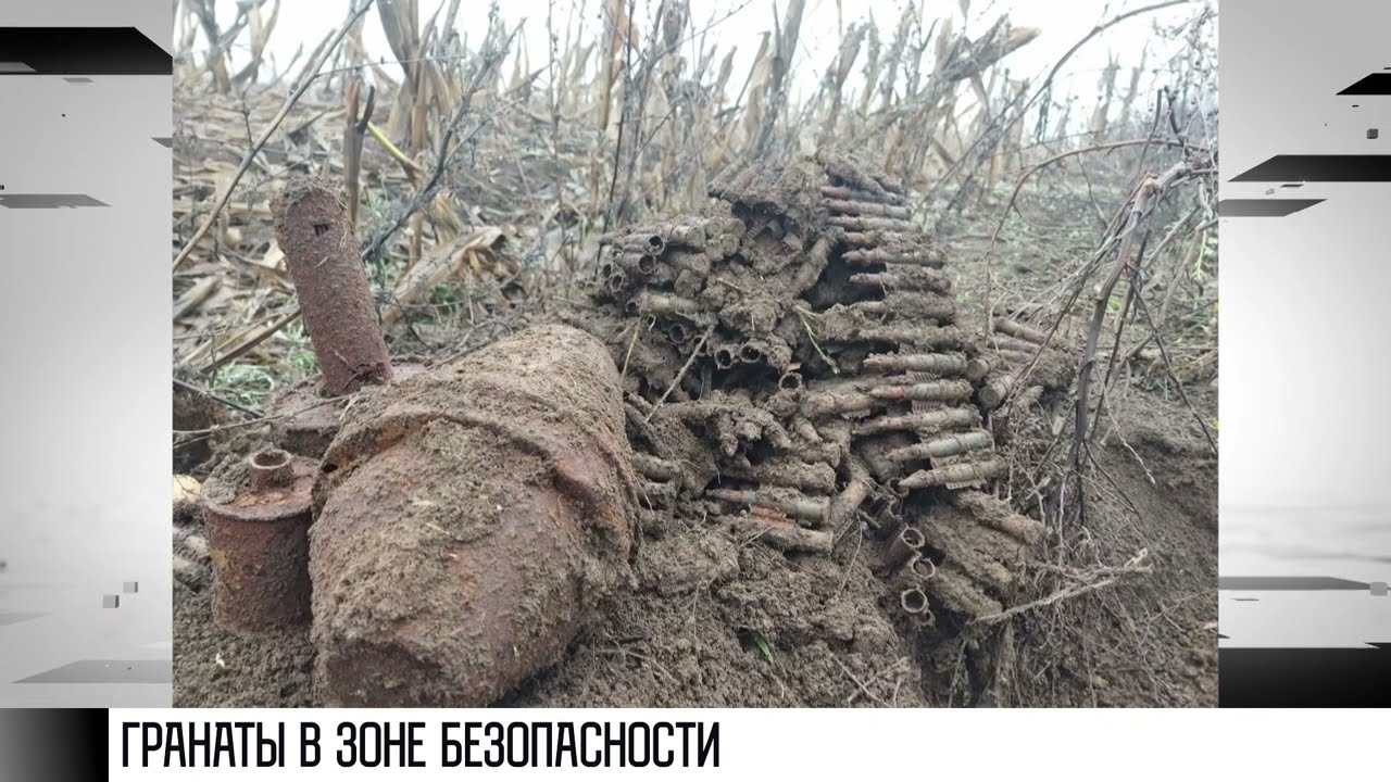 Гранаты и патроны в Зоне безопасности