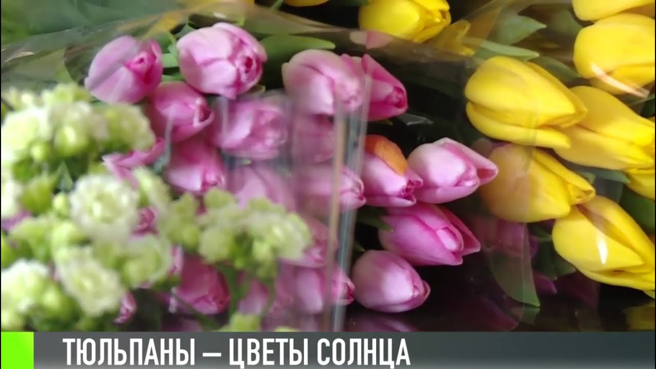 Тюльпаны: скоро во всех вазах страны