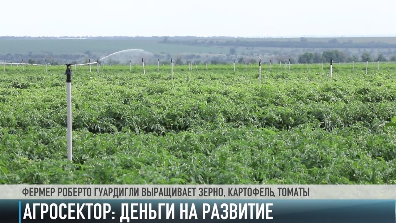 Есть полив – будет урожай. Господдержка агросектора
