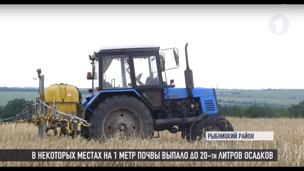 В Рыбницком районе град «скосил» урожай