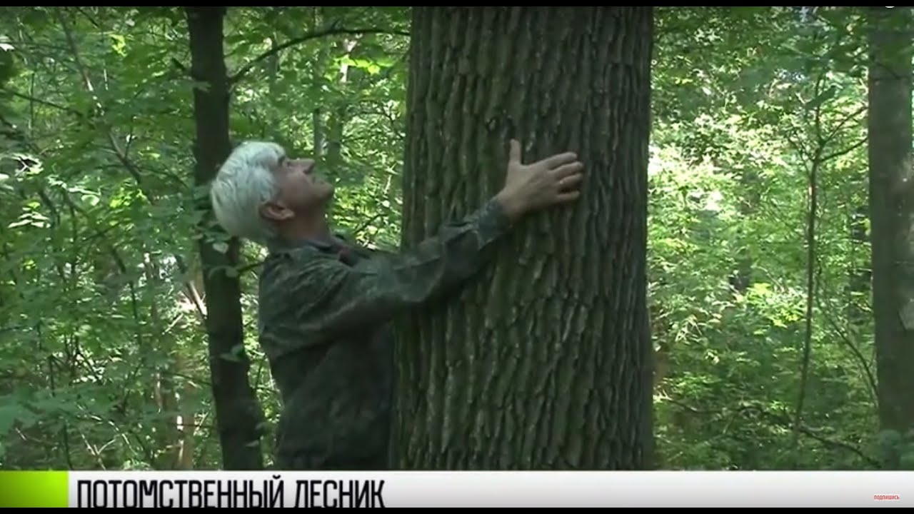 Потомственный лесник: история «хозяина леса»