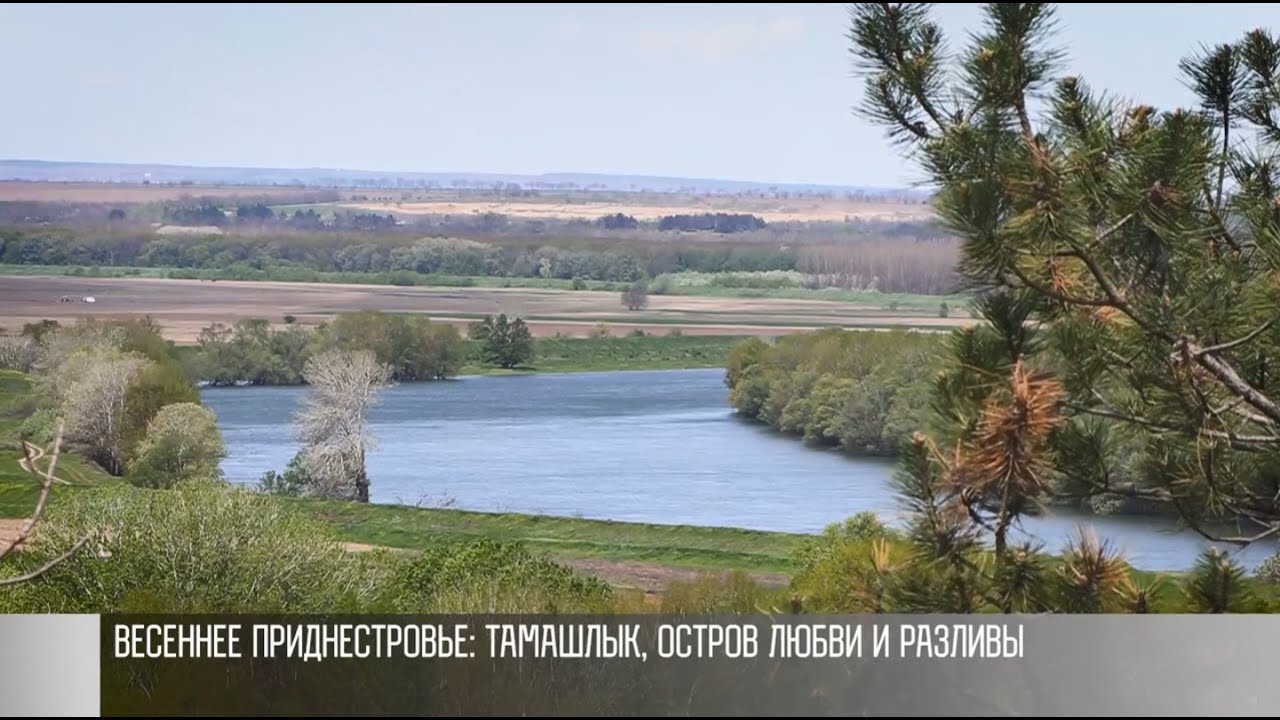 Весеннее Приднестровье: Тамашлык, остров Любви и разливы Днестра