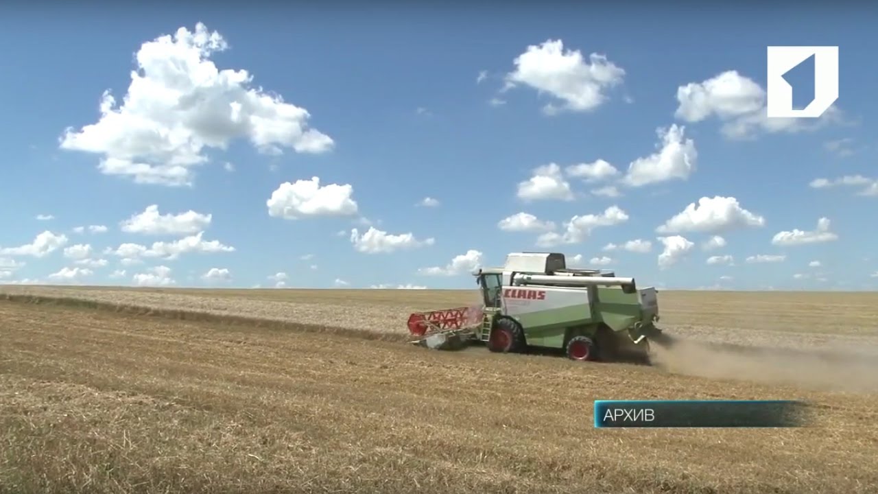 С землей на «вы»