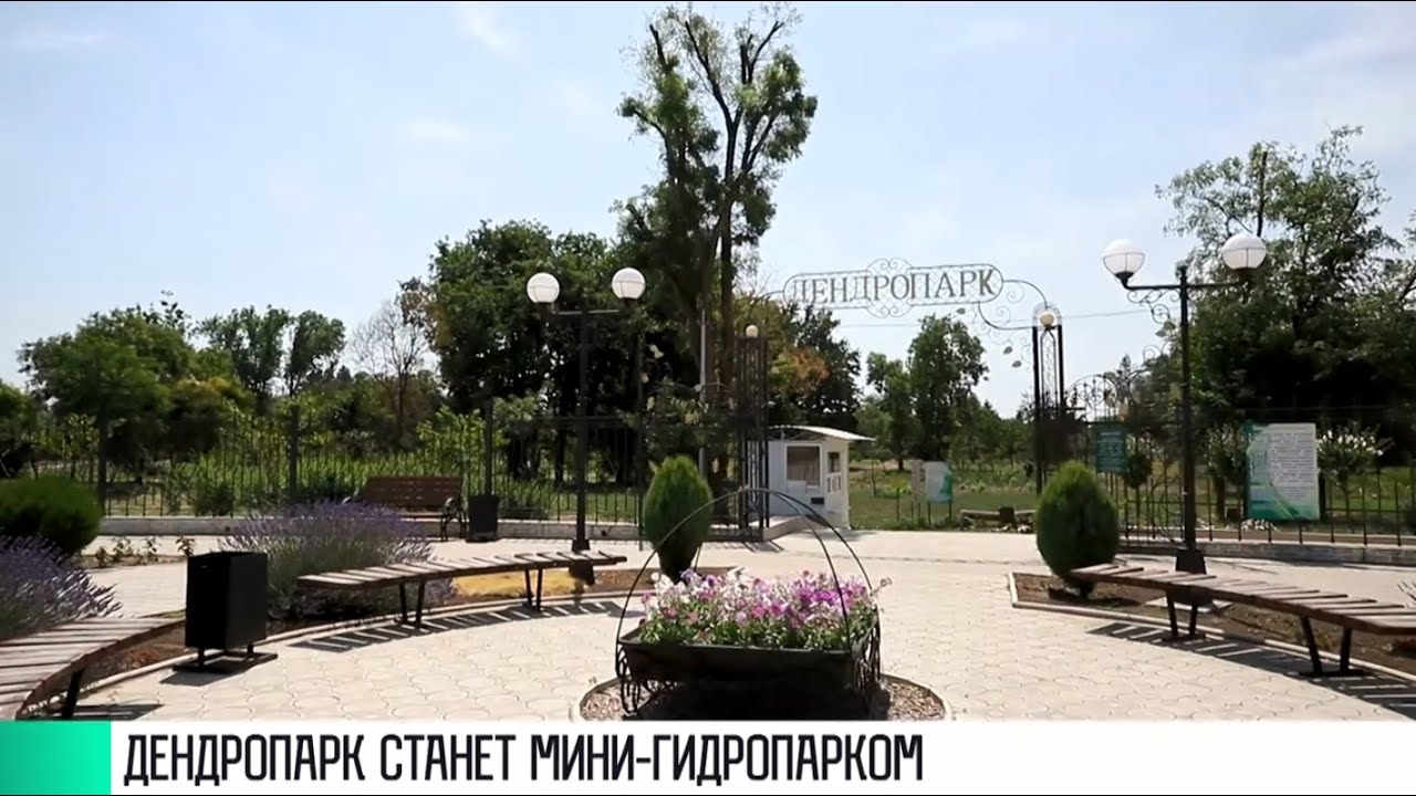 Озеро, «Остров любви» и поля лаванды: новый дендропарк